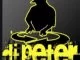 Dj Peter, BackSeat Driver, mp3, download, datafilehost, toxicwap, fakaza, House Music, Amapiano, Amapiano 2019, Amapiano Mix, Amapiano Music