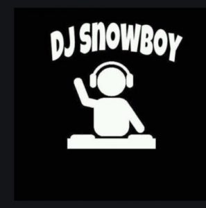 Dj Snowboy, Unexpected Switch, mp3, download, datafilehost, toxicwap, fakaza, House Music, Amapiano, Amapiano 2019, Amapiano Mix, Amapiano Music