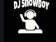 Dj Snowboy, Unexpected Switch, mp3, download, datafilehost, toxicwap, fakaza, House Music, Amapiano, Amapiano 2019, Amapiano Mix, Amapiano Music