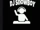 Dj Snowboy, Unexpected Switch, mp3, download, datafilehost, toxicwap, fakaza, House Music, Amapiano, Amapiano 2019, Amapiano Mix, Amapiano Music