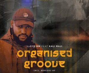 Lloyd BW, Kali Maji, Organized Groove (Chronical Deep Claps Back Remix), mp3, download, datafilehost, toxicwap, fakaza, Deep House Mix, Deep House, Deep House Music, Deep Tech, Afro Deep Tech, House Music