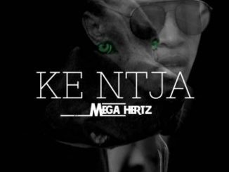 MegaHertz, Ke Ntja, mp3, download, datafilehost, toxicwap, fakaza, Afro House, Afro House 2019, Afro House Mix, Afro House Music, Afro Tech, House Music