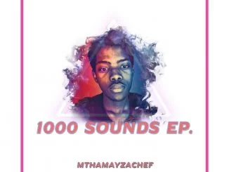 MthamayzaChef, 1000 Sounds, download ,zip, zippyshare, fakaza, EP, datafilehost, album, Deep House Mix, Deep House, Deep House Music, Deep Tech, Afro Deep Tech, House Music