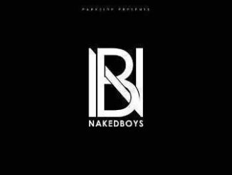 Nakedboys, uMagandula Mixtape, mp3, download, datafilehost, toxicwap, fakaza, Afro House, Afro House 2019, Afro House Mix, Afro House Music, Afro Tech, House Music