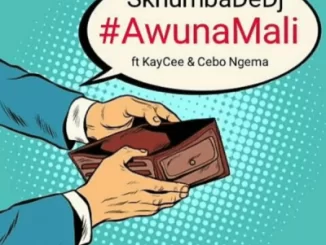 Skhumba De DJ, AwunaMali, KayCee, Cebo Ngema, mp3, download, datafilehost, toxicwap, fakaza, Afro House, Afro House 2019, Afro House Mix, Afro House Music, Afro Tech, House Music