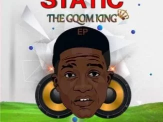 Static (Toolz n Static), Shut Down, Mr Thela, mp3, download, datafilehost, toxicwap, fakaza, Gqom Beats, Gqom Songs, Gqom Music, Gqom Mix, House Music