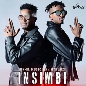 Sun-El Musician, Mthunzi, Insimbi, Extended Mix, mp3, download, datafilehost, toxicwap, fakaza, Afro House, Afro House 2019, Afro House Mix, Afro House Music, Afro Tech, House Music