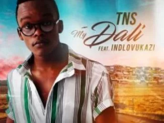 TNS, My Dali, Indlovukazi (Techno Bros & House Villains Bootleg), mp3, download, datafilehost, toxicwap, fakaza, Afro House, Afro House 2019, Afro House Mix, Afro House Music, Afro Tech, House Music