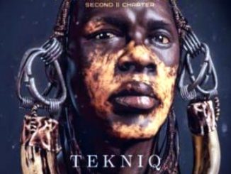 TekniQ, Sounds Of Yoruba, Original Mix, mp3, download, datafilehost, toxicwap, fakaza, Afro House, Afro House 2019, Afro House Mix, Afro House Music, Afro Tech, House Music