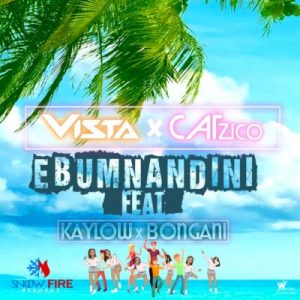 Vista, Catzico, Ebumnandini, Kaylow, Bongani, mp3, download, datafilehost, toxicwap, fakaza, Gqom Beats, Gqom Songs, Gqom Music, Gqom Mix, House Music