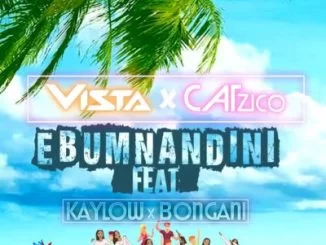 Vista, Catzico, Ebumnandini, Kaylow, Bongani, mp3, download, datafilehost, toxicwap, fakaza, Gqom Beats, Gqom Songs, Gqom Music, Gqom Mix, House Music