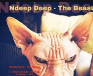 Ndeep Deep, Tribute To Duke Soul, mp3, download, datafilehost, toxicwap, fakaza, Afro House, Afro House 2019, Afro House Mix, Afro House Music, Afro Tech, House Music