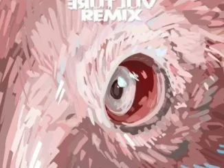 25K, Culture Vulture, Remix, Boity, mp3, download, datafilehost, toxicwap, fakaza, Hiphop, Hip hop music, Hip Hop Songs, Hip Hop Mix, Hip Hop, Rap, Rap Music