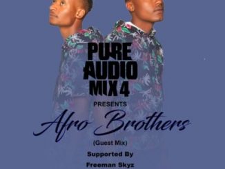 Afro Brotherz, Pure Audio Mix 4, mp3, download, datafilehost, toxicwap, fakaza, Afro House, Afro House 2019, Afro House Mix, Afro House Music, Afro Tech, House Music