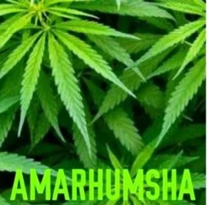 AmaRhumsha, Isivungu Vungu, mp3, download, datafilehost, toxicwap, fakaza, Afro House, Afro House 2019, Afro House Mix, Afro House Music, Afro Tech, House Music