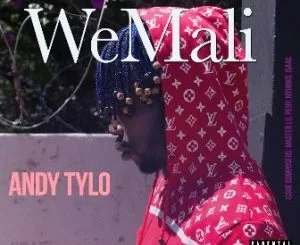 Andy Tylo, WeMali, mp3, download, datafilehost, toxicwap, fakaza, Afro House, Afro House 2019, Afro House Mix, Afro House Music, Afro Tech, House Music