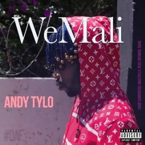 Andy Tylo, WeMali, mp3, download, datafilehost, toxicwap, fakaza, Afro House, Afro House 2019, Afro House Mix, Afro House Music, Afro Tech, House Music