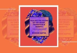 Boddhi Satva, Transition, Afrokillerz Remix, mp3, download, datafilehost, toxicwap, fakaza, Afro House, Afro House 2019, Afro House Mix, Afro House Music, Afro Tech, House Music