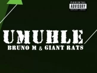 Bruno M, Giant, Rats Umuhle, Original Mix, mp3, download, datafilehost, toxicwap, fakaza, Afro House, Afro House 2019, Afro House Mix, Afro House Music, Afro Tech, House Music