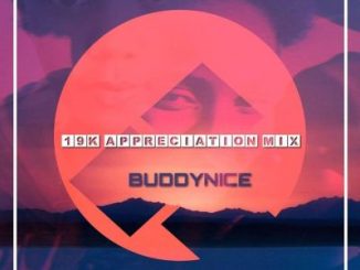 Buddynice, 19K Appreciation Mix, Redemial Sounds, mp3, download, datafilehost, toxicwap, fakaza, Afro House, Afro House 2019, Afro House Mix, Afro House Music, Afro Tech, House Music