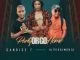 Candice T, Party Or Go Home, DJ Tpz, DJ Muzik SA , mp3, download, datafilehost, toxicwap, fakaza, Afro House, Afro House 2019, Afro House Mix, Afro House Music, Afro Tech, House Music