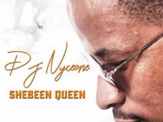 DJ Nyceone ,Shebeen Queen, mp3, download, datafilehost, toxicwap, fakaza, Afro House, Afro House 2019, Afro House Mix, Afro House Music, Afro Tech, House Music