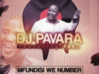 DJ Pavara, Fako, Mfundisi We Number, mp3, download, datafilehost, toxicwap, fakaza, Afro House, Afro House 2019, Afro House Mix, Afro House Music, Afro Tech, House Music