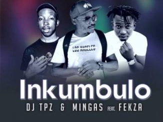 DJ Tpz, Mingas, Inkumbulo, Fekza, mp3, download, datafilehost, toxicwap, fakaza, Afro House, Afro House 2019, Afro House Mix, Afro House Music, Afro Tech, House Music