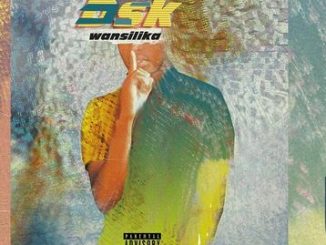 DSK, Wansilika, Original, mp3, download, datafilehost, toxicwap, fakaza, Afro House, Afro House 2019, Afro House Mix, Afro House Music, Afro Tech, House Music