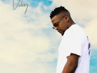 Dj Mshega, Vibez, download ,zip, zippyshare, fakaza, EP, datafilehost, album, Afro House, Afro House 2019, Afro House Mix, Afro House Music, Afro Tech, House Music