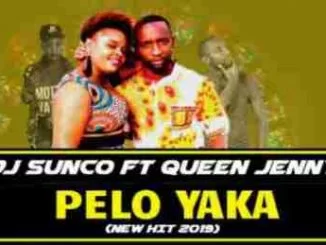 Dj Sunco, Pelo Yaka, Queen Jenny, mp3, download, datafilehost, toxicwap, fakaza, House Music, Amapiano, Amapiano 2019, Amapiano Mix, Amapiano Music, House Music