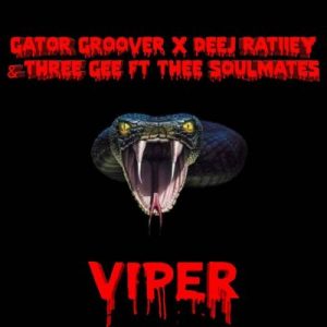 Gator Groover, Deej Ratiiey, Three Gee, Viper, Dance Mix, Thee SoulMates, mp3, download, datafilehost, toxicwap, fakaza, Afro House, Afro House 2019, Afro House Mix, Afro House Music, Afro Tech, House Music