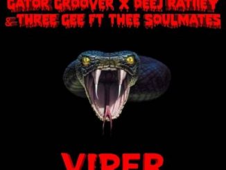 Gator Groover, Deej Ratiiey, Three Gee, Viper, Dance Mix, Thee SoulMates, mp3, download, datafilehost, toxicwap, fakaza, Afro House, Afro House 2019, Afro House Mix, Afro House Music, Afro Tech, House Music