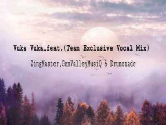 Gem Valley musiQ, Zing Mastar, Drumonae, Vuka Vuka, Vocal Mix, Team Exclusive, mp3, download, datafilehost, toxicwap, fakaza, House Music, Amapiano, Amapiano 2019, Amapiano Mix, Amapiano Music, House Music