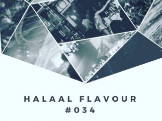 Halaal Flavour , #034 Mixed & Compiled by Entity MusiQ, Lil’Mo, mp3, download, datafilehost, toxicwap, fakaza, Afro House, Afro House 2019, Afro House Mix, Afro House Music, Afro Tech, House Music