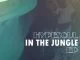 Hypesoul, In The Jungle, download ,zip, zippyshare, fakaza, EP, datafilehost, album, Afro House, Afro House 2019, Afro House Mix, Afro House Music, Afro Tech, House Music