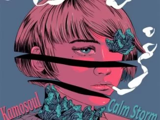 Kamosoul, Calm Storm, download ,zip, zippyshare, fakaza, EP, datafilehost, album, Deep House Mix, Deep House, Deep House Music, Deep Tech, Afro Deep Tech, House Music