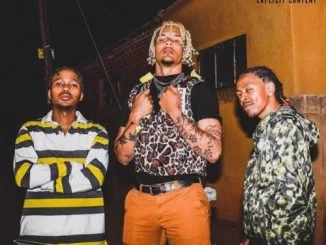 LaFreshman, Cardiac, Ecco, Mellow,mp3, download, datafilehost, toxicwap, fakaza, Hiphop, Hip hop music, Hip Hop Songs, Hip Hop Mix, Hip Hop, Rap, Rap Music