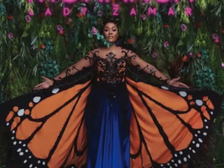 Lady Zamar, Sharp Shooter, mp3, download, datafilehost, toxicwap, fakaza, Afro House, Afro House 2019, Afro House Mix, Afro House Music, Afro Tech, House Music