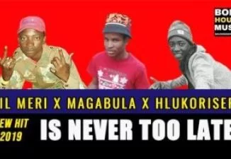 Lil Meri, Is Never Too Late, Magabula, Hlukoriser, mp3, download, datafilehost, toxicwap, fakaza, Afro House, Afro House 2019, Afro House Mix, Afro House Music, Afro Tech, House Music