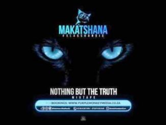 Makatshana (BlaqShandis), Nothing But The Truth, mp3, download, datafilehost, toxicwap, fakaza, Gqom Beats, Gqom Songs, Gqom Music, Gqom Mix, House Music