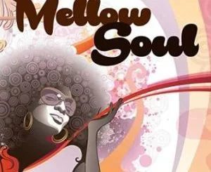 Mellow Soul, Fela Fela, mp3, download, datafilehost, toxicwap, fakaza, House Music, Amapiano, Amapiano 2019, Amapiano Mix, Amapiano Music, House Music