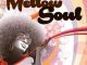 Mellow Soul, Fela Fela, mp3, download, datafilehost, toxicwap, fakaza, House Music, Amapiano, Amapiano 2019, Amapiano Mix, Amapiano Music, House Music