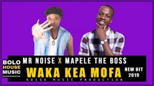 Mr Noise, Mapele The Boss, Waka Kea Mofa, mp3, download, datafilehost, toxicwap, fakaza, Afro House, Afro House 2019, Afro House Mix, Afro House Music, Afro Tech, House Music