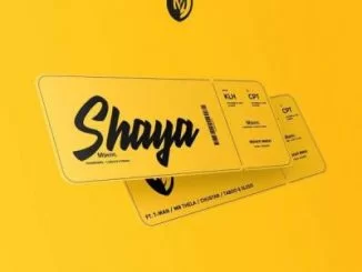 Mshayi, Shaya, T-Man, Mr Thela, Chustar, Taboo no Sliiso, mp3, download, datafilehost, toxicwap, fakaza, Afro House, Afro House 2019, Afro House Mix, Afro House Music, Afro Tech, House Music