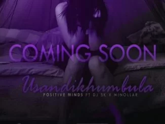 Positive Minds, Minollar, DJSK, Usandikhumbula, mp3, download, datafilehost, toxicwap, fakaza, Afro House, Afro House 2019, Afro House Mix, Afro House Music, Afro Tech, House Music