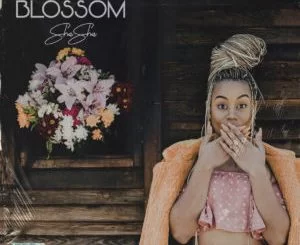 Sha Sha , Abondaba, Samthing Soweto, mp3, download, datafilehost, toxicwap, fakaza, Afro House, Afro House 2019, Afro House Mix, Afro House Music, Afro Tech, House Music