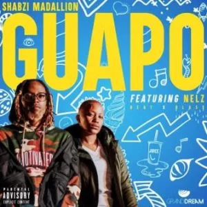 ,ShabZi Madallion, Guapo, Nelz, mp3, download, datafilehost, toxicwap, fakaza, Afro House, Afro House 2019, Afro House Mix, Afro House Music, Afro Tech, House Music