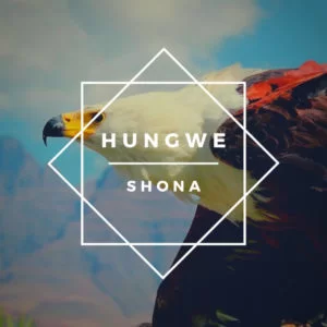 Shona (SA), Zimkitha, Ndiyekele, mp3, download, datafilehost, toxicwap, fakaza, Afro House, Afro House 2019, Afro House Mix, Afro House Music, Afro Tech, House Music