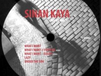 Sinan Kaya, Ain’t Enough, Original Mix, mp3, download, datafilehost, toxicwap, fakaza, Afro House, Afro House 2019, Afro House Mix, Afro House Music, Afro Tech, House Music